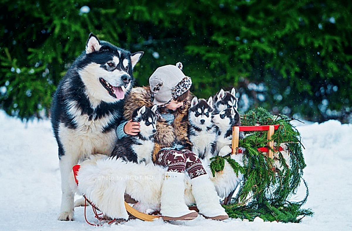 С новым годом 2024 друзья !